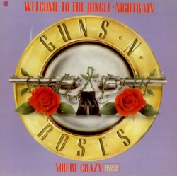 Guns N Roses